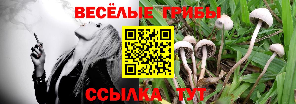 Сергиев Посад  Псилоцибиновые грибы ЛСД  Галлюциногенные грибы прущие грибы  Вход с VPN 